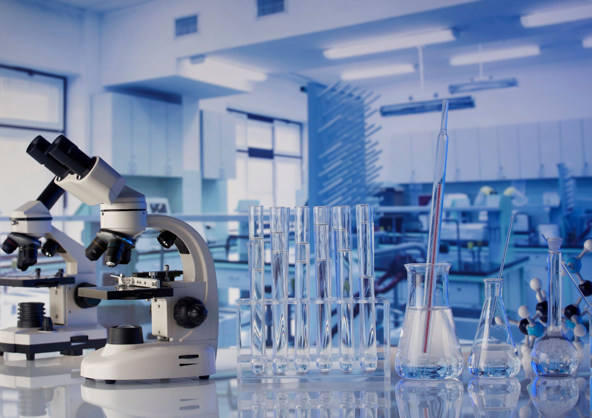 Read more about the article סקירה מעודכנת על סוגי מעבדות שנמצאות בחזית המחקר והפיתוח